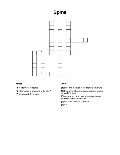 Spine Crossword Puzzle
