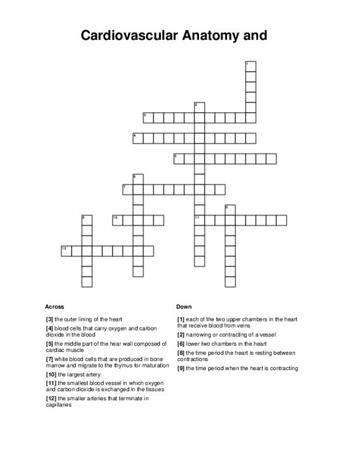 Cardiovascular Anatomy and Physiology Crossword Puzzle