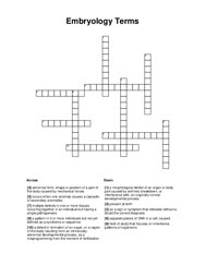 Embryology Terms Crossword Puzzle