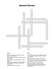 General Senses Crossword Puzzle
