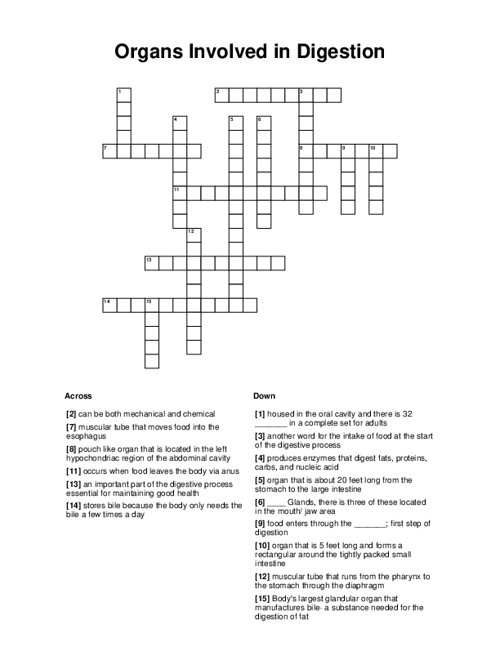 Organs Involved in Digestion Crossword Puzzle