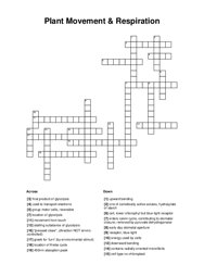 Plant Movement & Respiration Crossword Puzzle