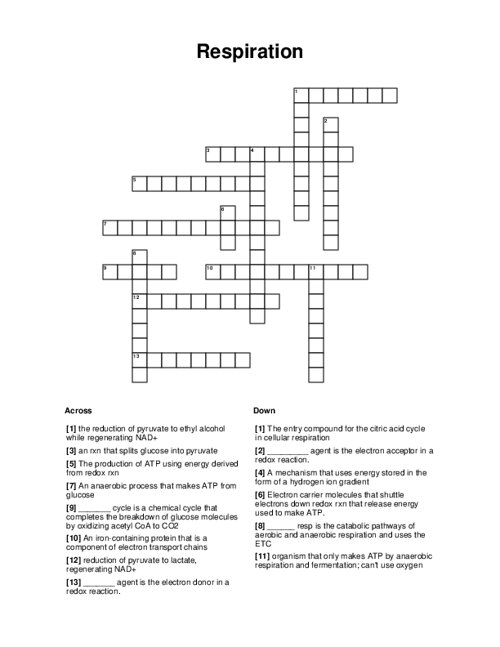 Respiration Crossword Puzzle