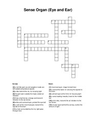 Sense Organ (Eye and Ear) Crossword Puzzle