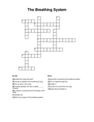 The Breathing System Crossword Puzzle