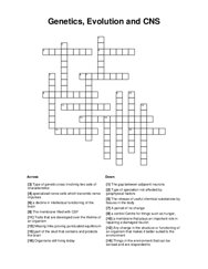 Genetics, Evolution and CNS Crossword Puzzle