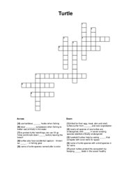 Turtle Crossword Puzzle