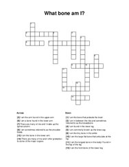 What bone am I? Crossword Puzzle