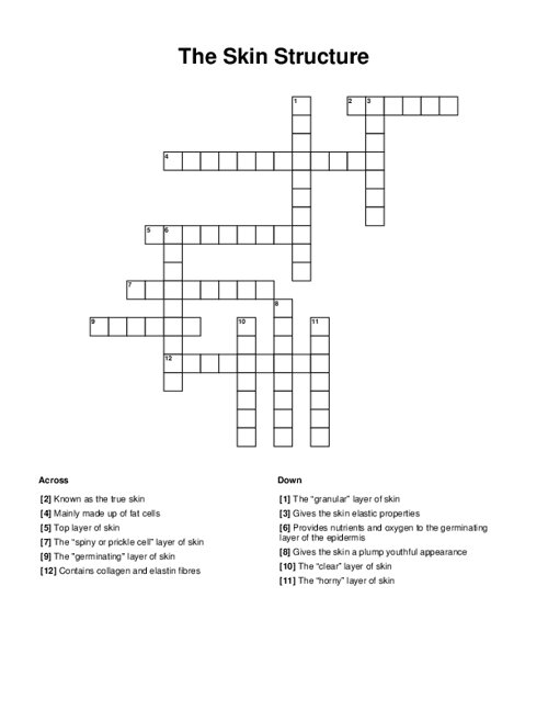The Skin Structure Crossword Puzzle