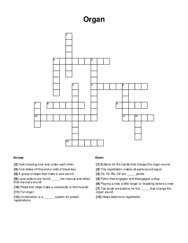 Organ Crossword Puzzle