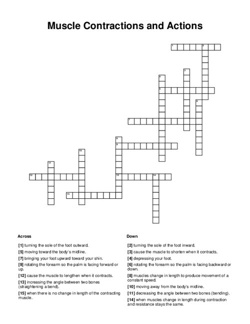 Muscle Contractions and Actions Crossword Puzzle