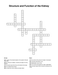 Structure and Function of the Kidney Crossword Puzzle