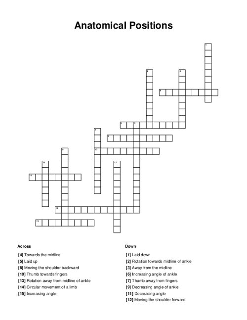 Anatomical Positions Crossword Puzzle