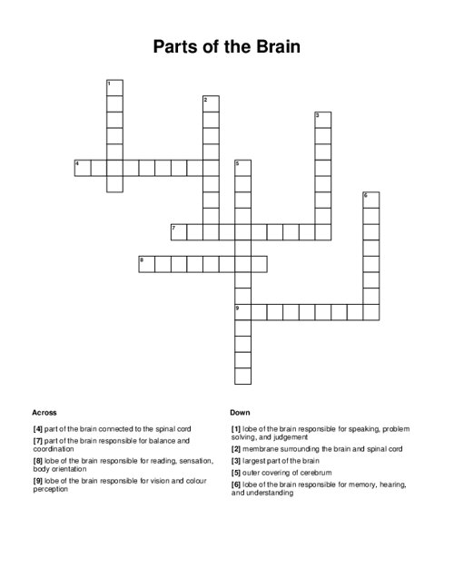Parts of the Brain Crossword Puzzle