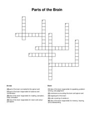 Parts of the Brain Crossword Puzzle