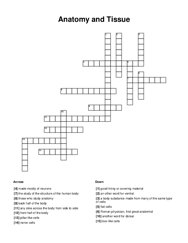 Anatomy and Tissue Crossword Puzzle
