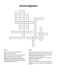 Animal Digestion Crossword Puzzle