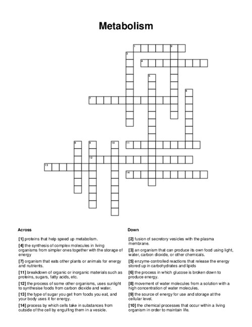 Metabolism Crossword Puzzle