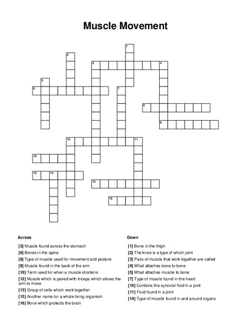 Muscle Movement Crossword Puzzle