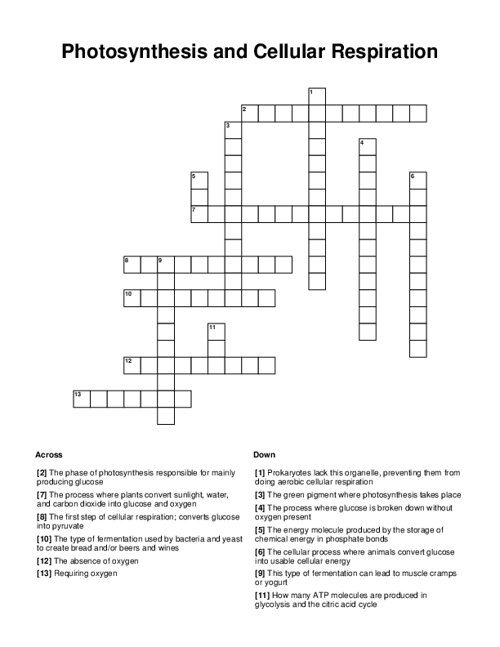 Photosynthesis And Cellular Respiration Crossword Puzzle