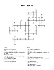 Plant Terms Crossword Puzzle