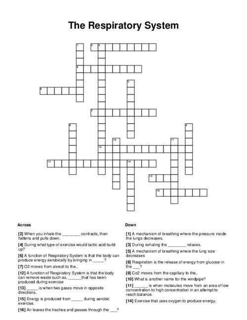 The Respiratory System Crossword Puzzle