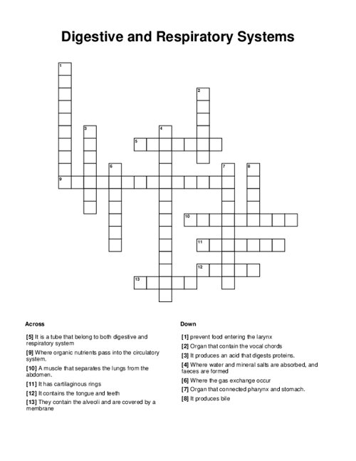 Digestive and Respiratory Systems Crossword Puzzle