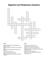 Digestive and Respiratory Systems Crossword Puzzle