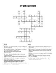 Organogenesis Crossword Puzzle