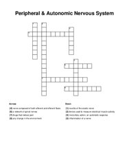 Peripheral & Autonomic Nervous System Crossword Puzzle