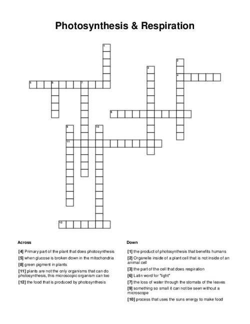 Photosynthesis Respiration Crossword