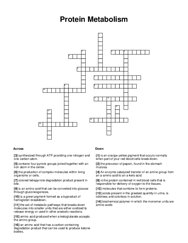 Protein Metabolism Crossword Puzzle
