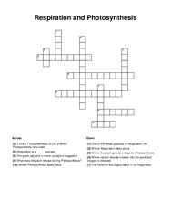 Respiration and Photosynthesis Crossword Puzzle