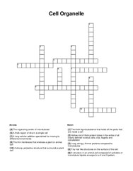 Cell Organelle Crossword Puzzle