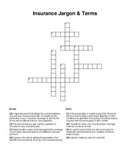 Insurance Jargon & Terms Crossword Puzzle