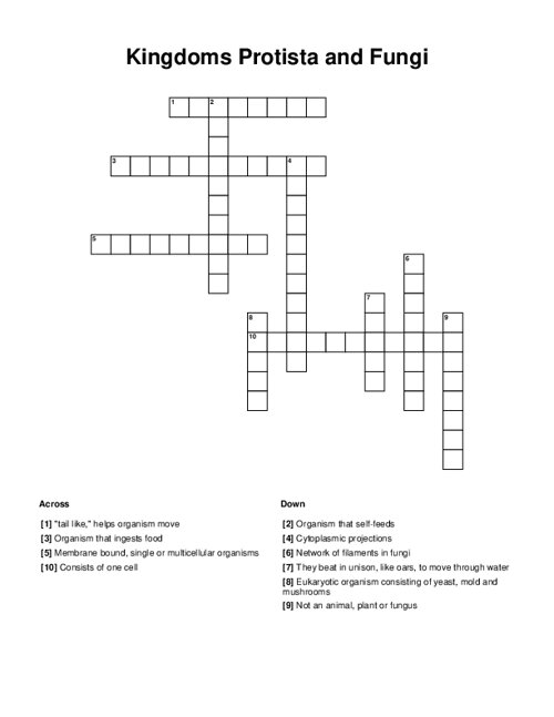 Kingdoms Protista and Fungi Crossword Puzzle