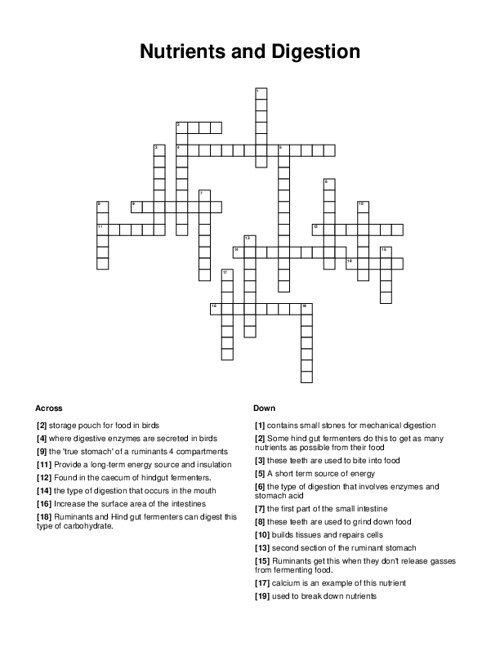 Nutrients and Digestion Crossword Puzzle