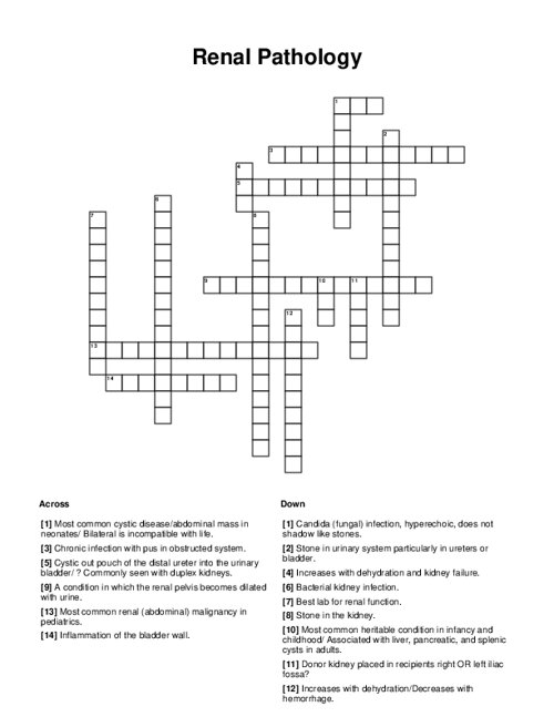 Renal Pathology Crossword Puzzle