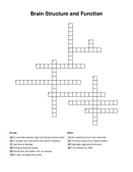 Brain Structure and Function Crossword Puzzle