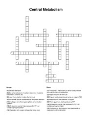 Central Metabolism Crossword Puzzle