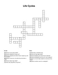 Life Cycles Crossword Puzzle