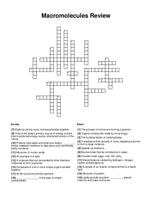 Macromolecules Review Crossword Puzzle