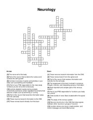 Neurology Crossword Puzzle