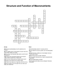 Structure and Function of Macronutrients Crossword Puzzle