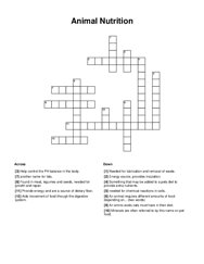 Animal Nutrition Crossword Puzzle