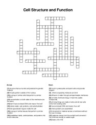 Cell Structure and Function Crossword Puzzle
