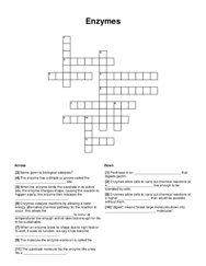 Enzymes Crossword Puzzle