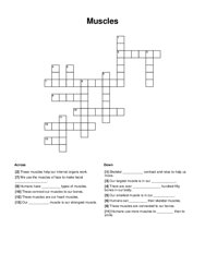 Muscles Crossword Puzzle