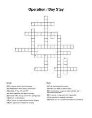Operation / Day Stay Crossword Puzzle