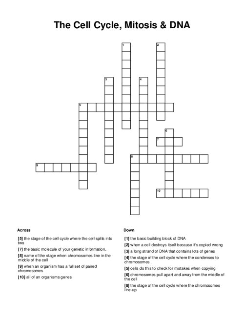 The Cell Cycle, Mitosis & DNA Crossword Puzzle